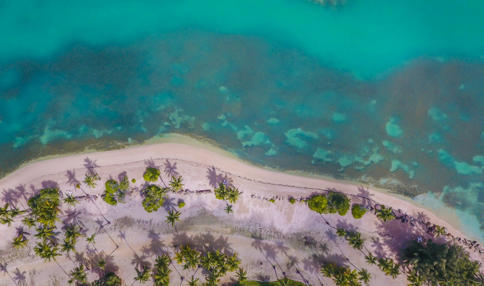 Budget Family Trip to Puerto Rico: How We Used Points